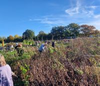 Garten Ausgleich 1